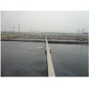 Image 01