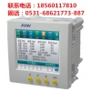 电力网络仪表DZ81-51F