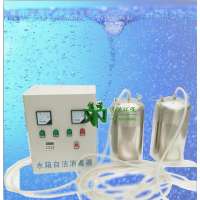 河北厂家直销信诺水箱自洁消毒器WTS-2A（一拖二）