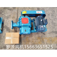 山东罗茨风机