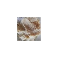 阳离子交换树脂 硬水软化专用离子交换树脂 厂家价格