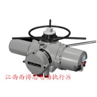 罗托克电动执行器IQ25