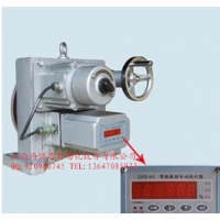 DKJ-210EX角行程电动执行器