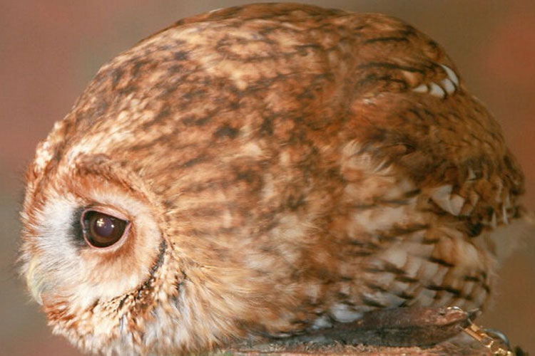 QQ截图20170419135653