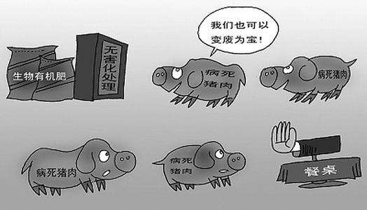 timg (2)