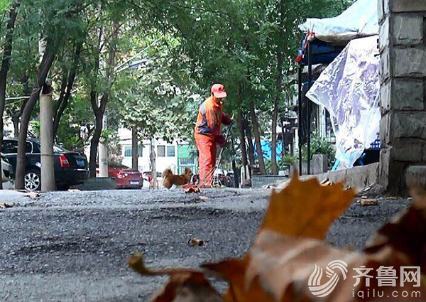 济南启动垃圾死角清理 75个环卫所将考核排名