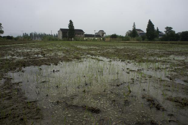 公开土地&ldquo;污染史&rdquo;是一种双向保护