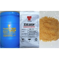 杜笙A-107除磷专用丙烯酸强碱性阴离子交换树脂