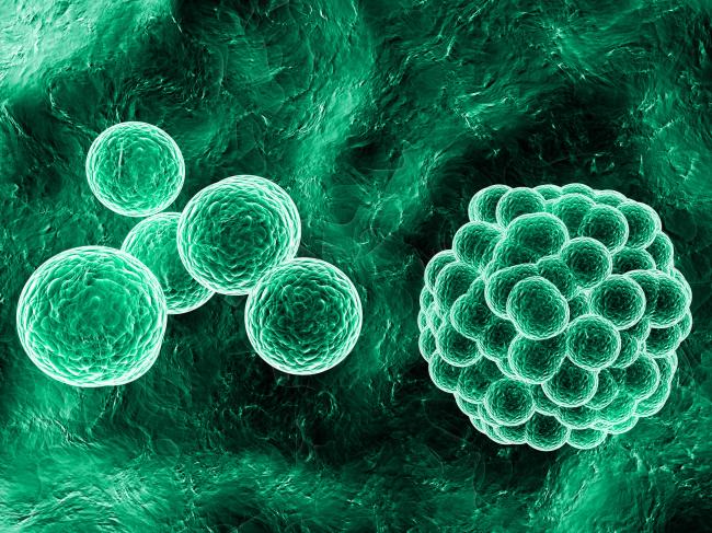 日本启动首个设施 让微生物分解垃圾变废为宝