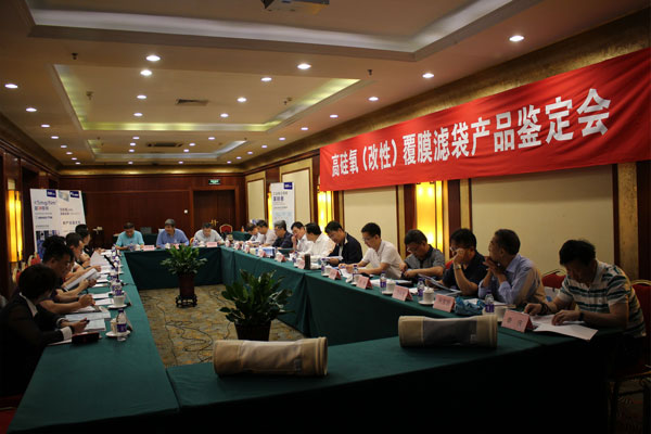13位行业精英出席鉴定委员会
