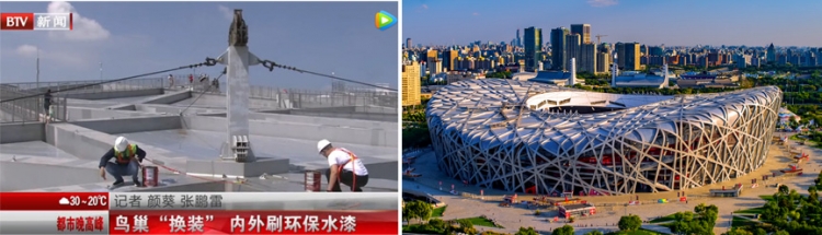 鸟巢换装