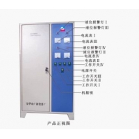 臭氧发生器 高浓度臭氧发生器 纯净水电解 臭氧消毒机厂家直销