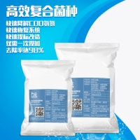 鸿淳环保污水处理剂微生物菌剂复合菌种高效除COD氨氮总氮