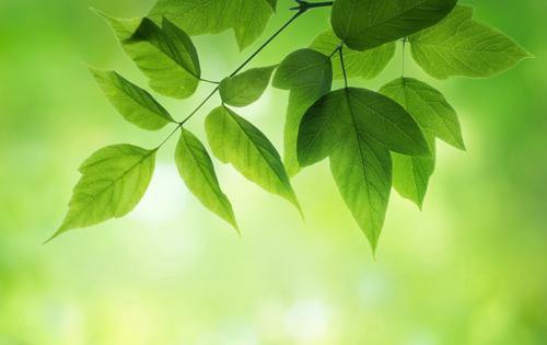 国家税务总局:多方联动确保环保税首个征期平稳落地