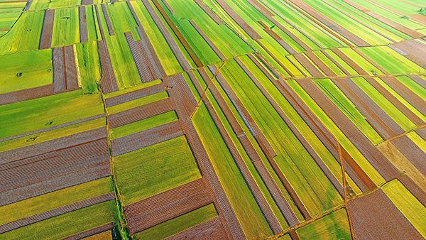 我国2020年有望建成国家生态保护红线监管平台