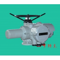 IA70罗托克阀门电动执行器