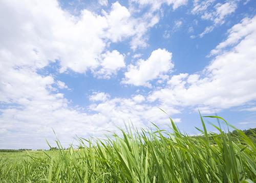“大气十条”四十五项重点任务如期完成