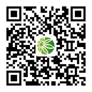 图片3 图片3