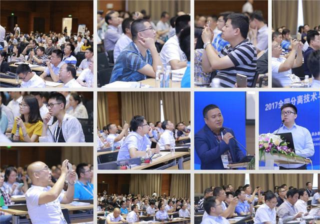图片4 图片4