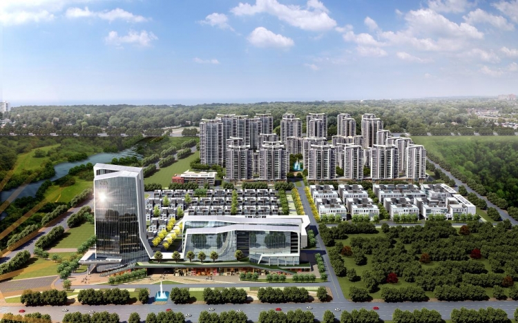 图片4 图片4