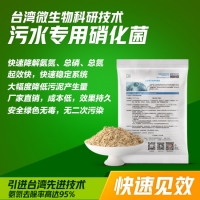 污水处理菌种