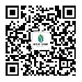 图片4 图片4