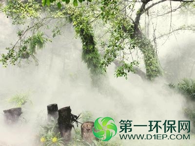 假山水池园林景观人造雾7
