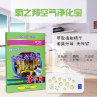 氧之邦净化宝