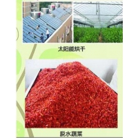 辣椒太阳能烘干系统
