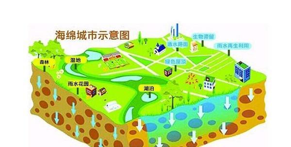 图片15 图片15