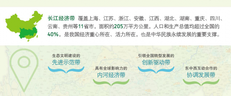 图片11