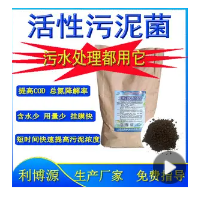 好氧菌种 污水处理降COD菌种