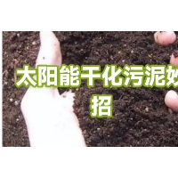 污泥太阳能干化